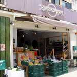 アロー ツリー - 