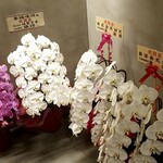 Koufuku Ajibou - 開店祝の花
