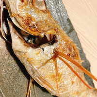 のどぐろの中俣 新橋 - のどぐろ原子焼き