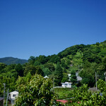 飯田商店 - 険しい斜面にミカン農家？や別荘？が点在してる