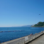 飯田商店 - 湯河原海浜公園　この辺りは山が海際まで迫っており、真鶴道路や人工物で海と陸が分断されてる