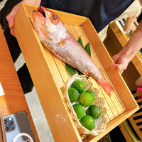 のどぐろ専門 銀座 中俣 - でかーーい！