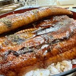 Tomo - 大串うなぎ