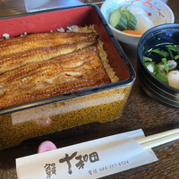 鰻 十和田 - 