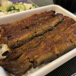 Unagi Kinsui - 