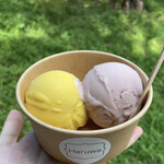 Haruwa Vegan ice - 