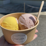 Haruwa Vegan ice - 