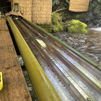 ひろ文 - 流しそうめん 抹茶わらび餅付き 1500円 ひろ文 - 流しそうめん 抹茶わらび餅付き 1500円