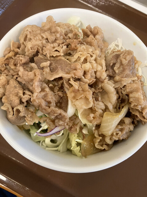 牛丼ライトミニ、牛カルビ丼並』by ぺんぱら : すき家 366号東浦店