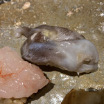 鮨 久いち - 生トリガイの仕入れ値がとんでもなくなっていると説明されましただ、確かに美味しい。