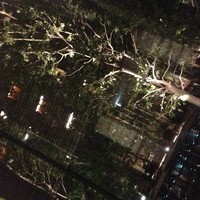 有馬 華暦 - 