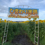 らー麺　Do・Ni・Bo - 天童のひまわり迷路