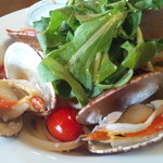 フォセッタ - すだれ貝は絶品でした！