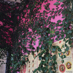 ゴーディーズ  - 