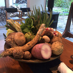 アグリスケープ - 