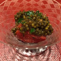 霜止出苗 - 