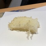 にい留 - アオリイカ