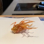 にい留 - 海老の足