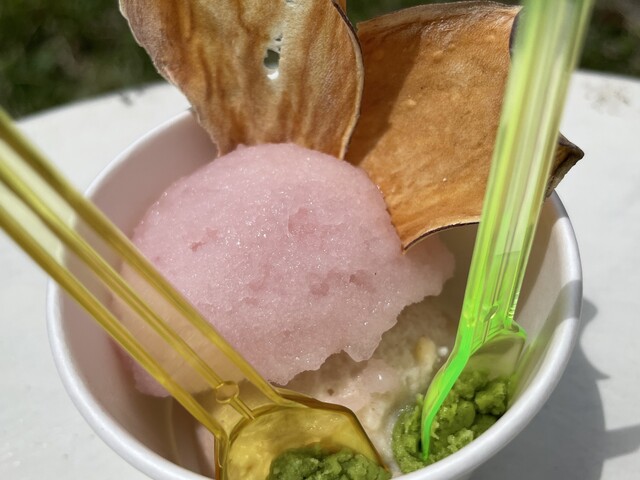 イスキア ジェラテリア みどりちゃん（ISCHIA GELATERIA みどりちゃん） - 鶴岡（ジェラート・アイスクリーム）の写真