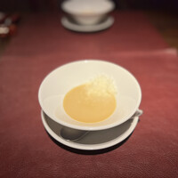 Potoro - 