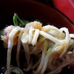 功徳庵 更科 - 辛味大根をよく絡めて！(2013,03/23)