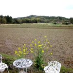 功徳庵 更科 - 店内からの風景！(2013,03/23)