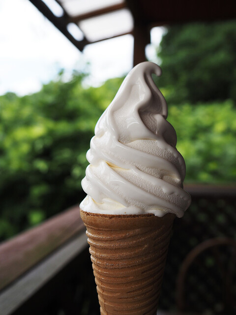 蝋梅の咲く頃｜仙台市泉区のカフェ・七ツ森湖畔公園