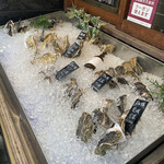 Oyster Bar MABUI - 