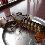 Red Lobster - 調理するロブスターを見せてくれます