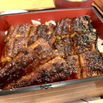 Kawashin Unagi Senta - 