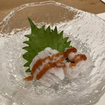 北新地 鮨 葵 - 今年初の鱧　絶妙な火通しで最高に美味い