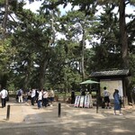 Oshaberina Kame - かき氷食べたら、奈良公園へ