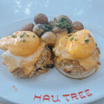 Hau Tree Lanai Restaurant - crab cake benedict $35