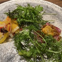 Selvaggio - 