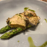 Selvaggio - 