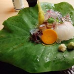 懐石料理 桝田 - お造り