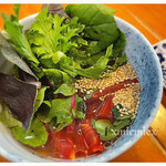 らーめん森や。 - 森の冷やしつけ麺