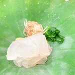 蕎麦割烹  倉田 - 宮城県松島産　星鰈