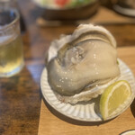 牡蠣の朋 - 岩牡蠣