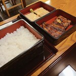 Unagi Matsukura - 