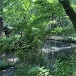 Jindaiji Soba Aokiya - ここの店頭からの亀嶋弁天池。
      自然に囲まれながらそばを頂けます。