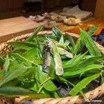 らん亭～ 美日庵 - 蓼の葉と焼鮎と焼夏豆