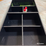 らん亭～ 美日庵 - キレイに完食