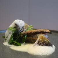 フィエルテ - 長野県産 天竜鮎/クレソン/玉ねぎアップ