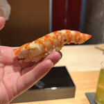 恵比寿 鮨 ふじまさ - 