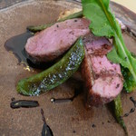 トラットリア ボッカ・ルーポ - 鴨肉ロースト～バルサミコソース