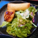 Kaen - 春巻き、チキンナゲット、サラダ