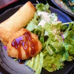 Kaen - 春巻き、チキンナゲット、サラダ