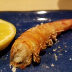 出羽鮨 - 車エビくん・アップ。