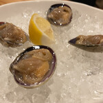 牡蠣場 - 生あさり 見てこの輝き